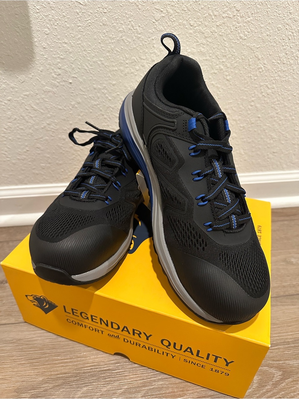 Legendary Quality Men's Black Sneakers with Blue Accents